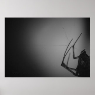 PÔSTER TRANSLUCENTE 8