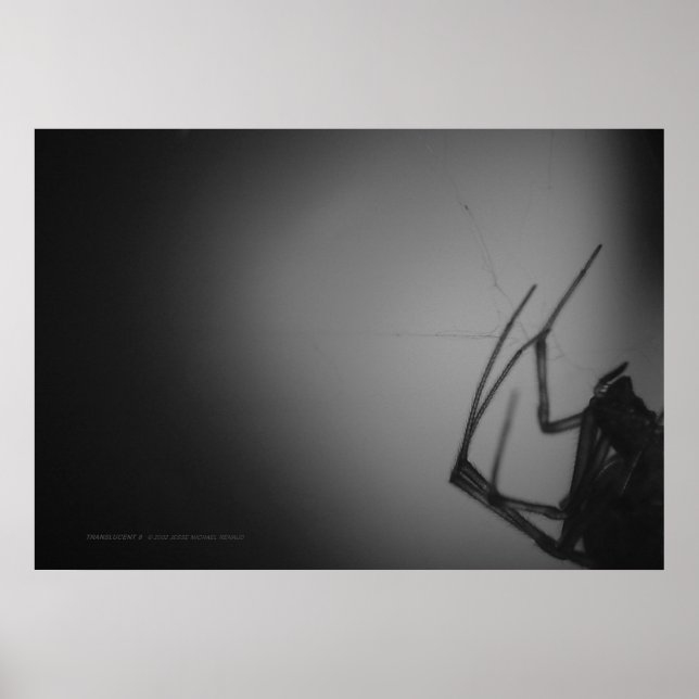 PÔSTER TRANSLUCENTE 8 (Frente)