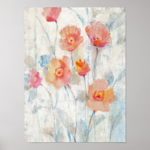 Pôster Translúcido II