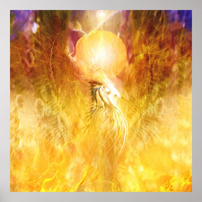 Poster TRANSMUTAÇÃO DE Pássaros de Fogo Phoenix (Frente)