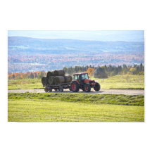 Trator de Vermont Transportando Fardos de Feno