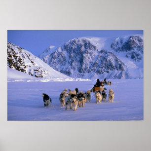 Pôster Traveling, Ellesmere Island