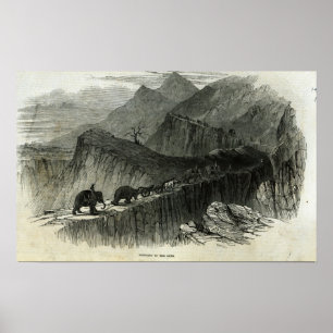 Poster Trazendo acima as armas