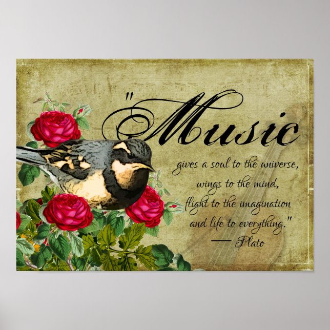 Poster Trecho de Música, Thrush Bird e Rosas, Violino Vin (Frente)
