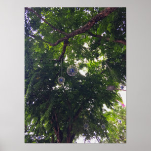 Poster Tree Canopy Hanging Decorative Orbs Urban Nature