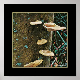 Pôster Tree Fungus