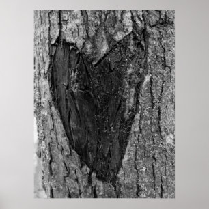 Poster Tree Heart Carving