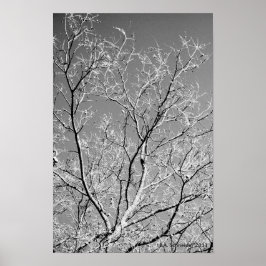 Poster Tree Lace by E.A. Schneider