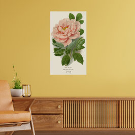 Poster Tree Peony - Elegante Vintage Botanical Design