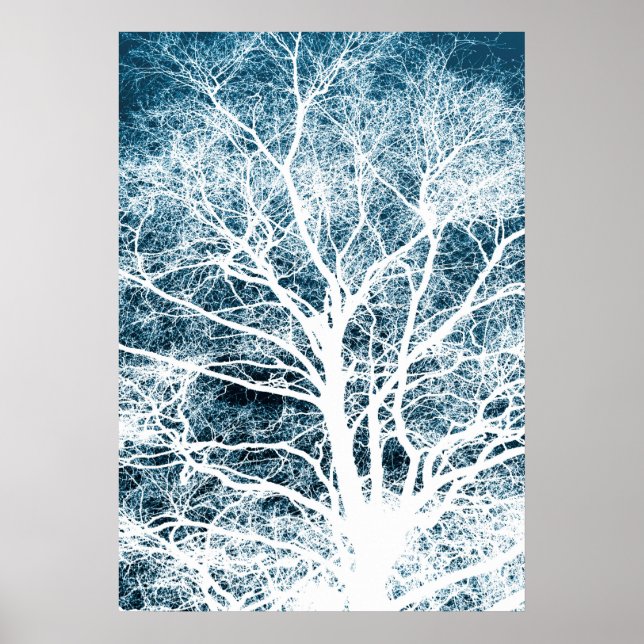 Poster Tree silhouette (Frente)