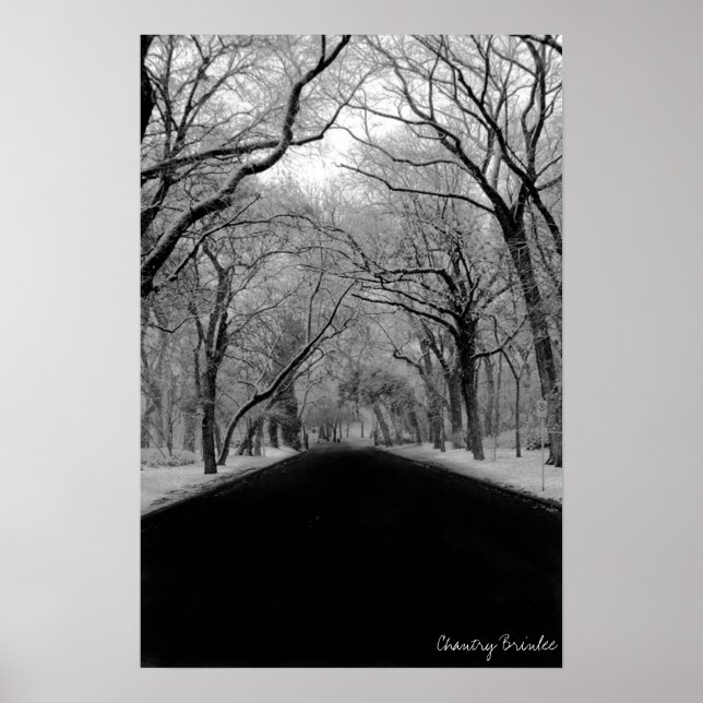 Pôster Tree Tunell (Frente)