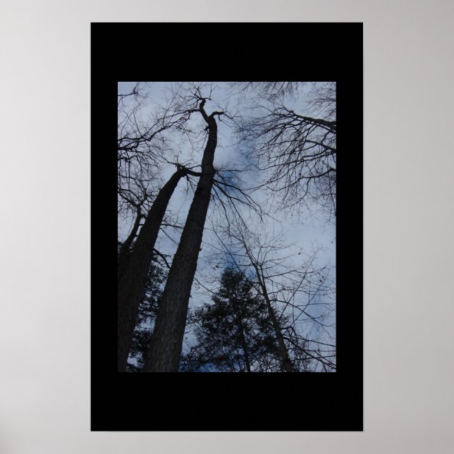 Poster trees (Frente)