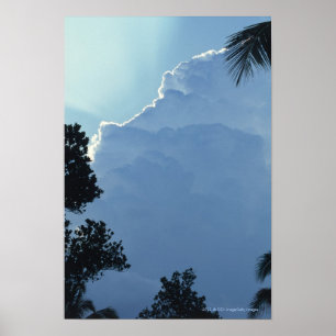 Pôster Trees and clouds