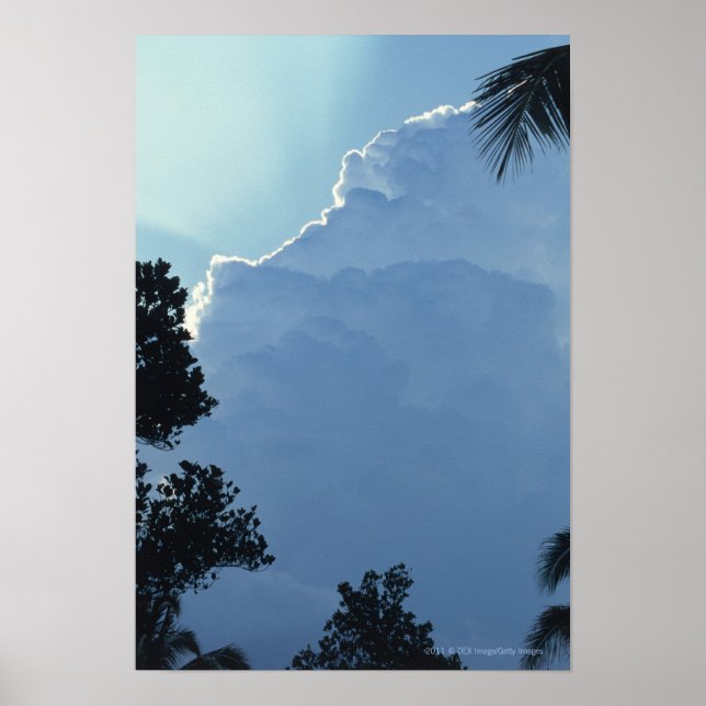 Pôster Trees and clouds (Frente)