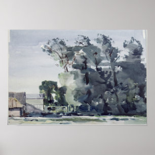 Pôster Trees - Dawn