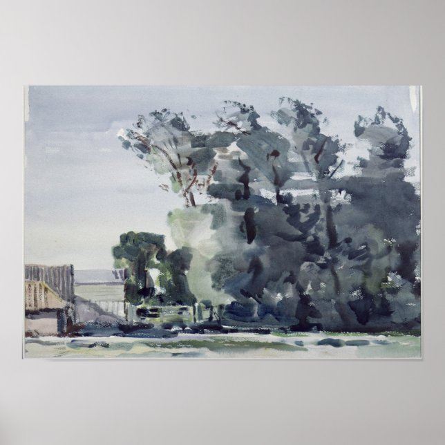 Pôster Trees - Dawn (Frente)