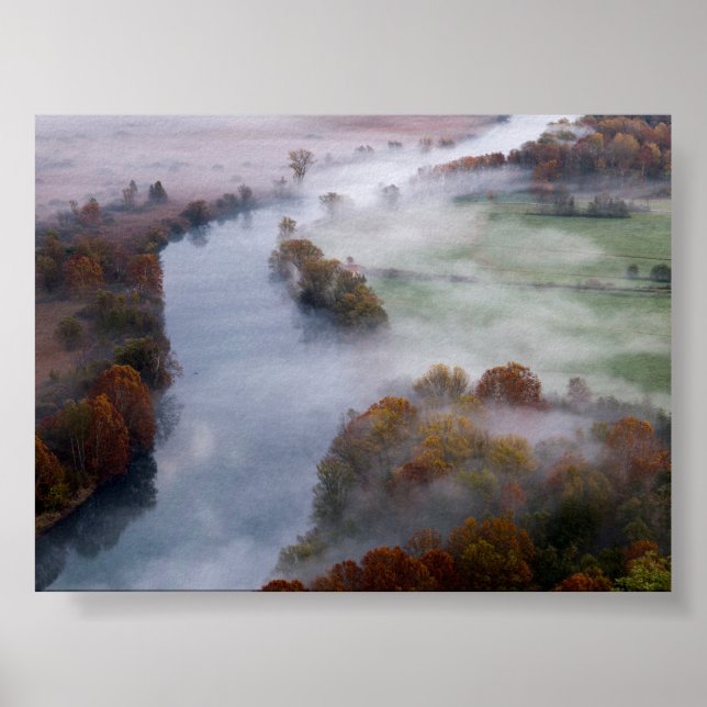 Poster Trees in the morning mist (Frente)