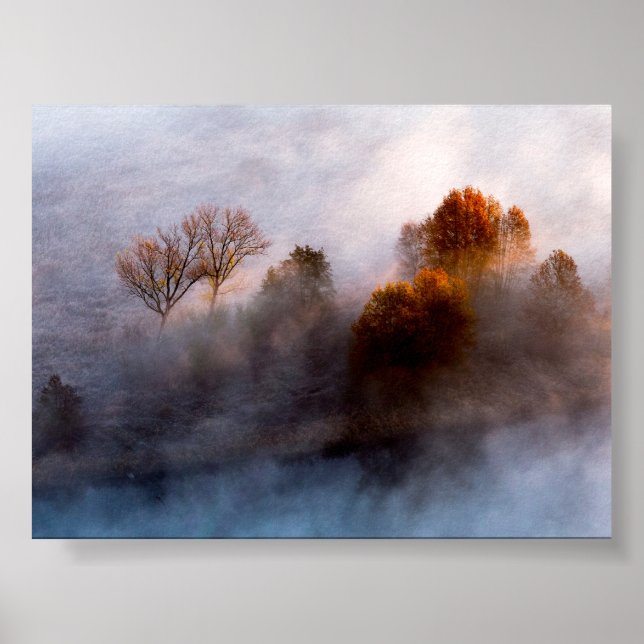 Poster Trees in the morning mist (Frente)