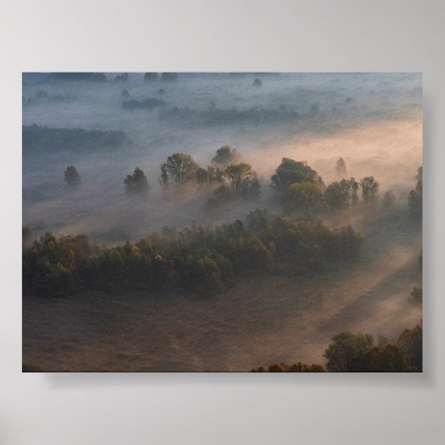 Poster Trees in the morning mist (Frente)