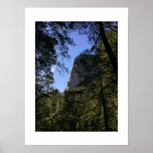 Poster Treeview Yosemite Verde Cor Azul Fotografia
