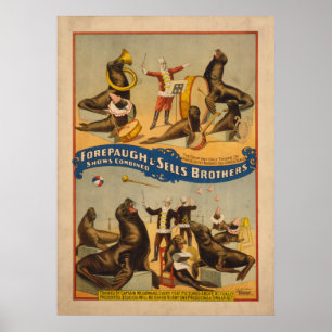 Poster treinado do circo dos selos - Forepaugh &