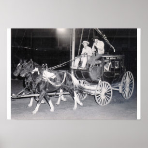 PÔSTER TREINADOR DO PALCO