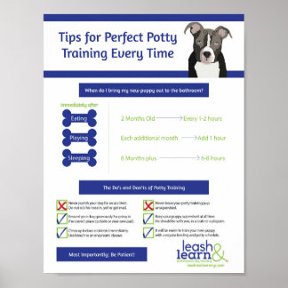 Poster Treinamento Perfeito Puppy Potty