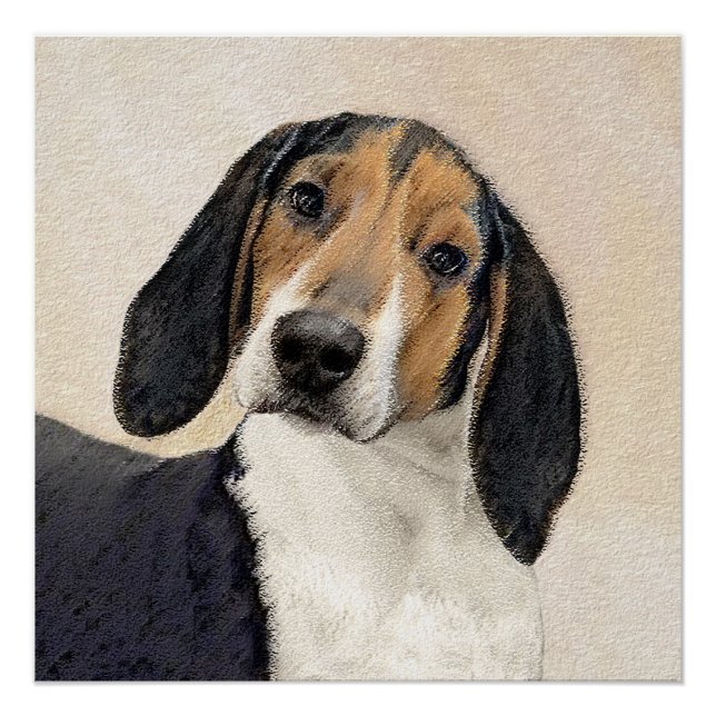Pôster Treing Walker Coonhound Painting - Arte Original (Frente)