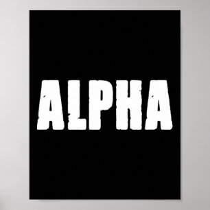 Poster Treino de coelho Alpha Gym musculação Fitness F010