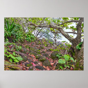 Poster Trekking the Kalalau Trail, Costa de Napali, Kauai