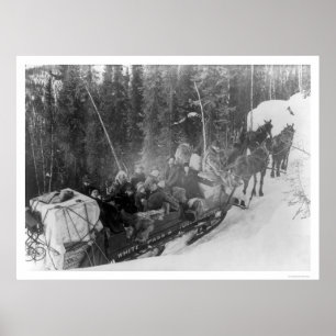 Poster Trem branco 1903 do trenó de Alaska da passagem