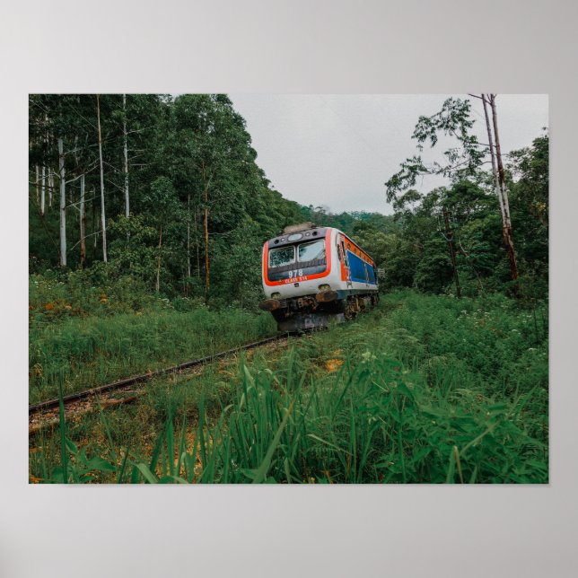 Poster Trem Desal Sri Lanka (Frente)