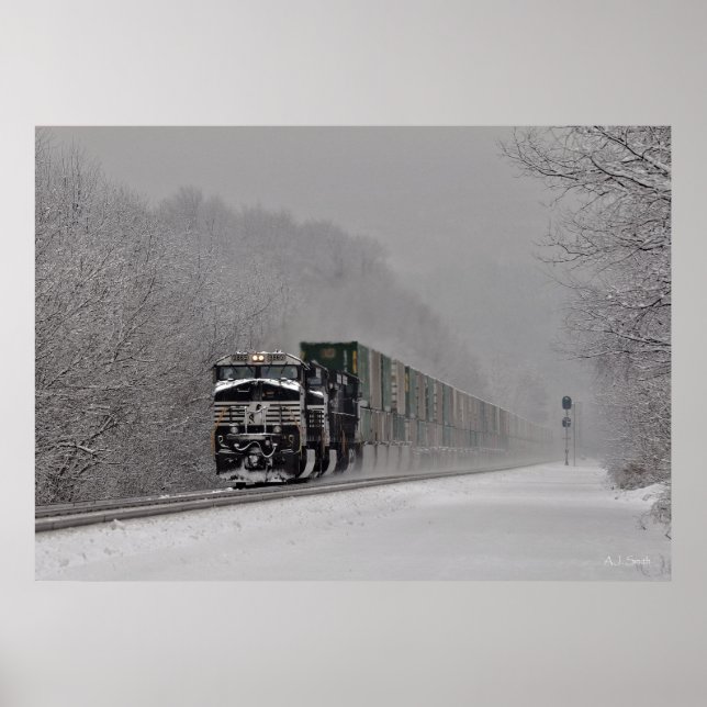 Poster Trem Nevado (Frente)