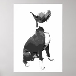 Poster Trendy Black and White Pit Bull dog