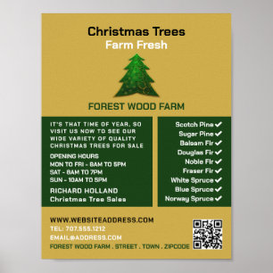 Poster Trendy Fir Tree Design, vendas de árvores de Natal