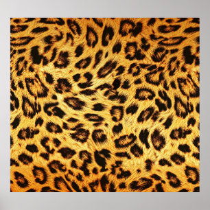 Poster Trendy Leopard: Padrão de Design da pele.