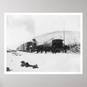 Poster Trens & cães Alaska 1916
