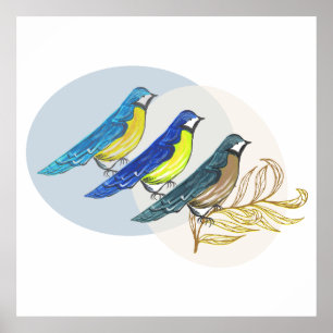 Poster Três Aves