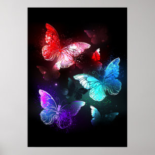 Poster Três Borboletas brilhantes sobre o fundo noturno