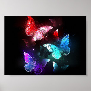 Poster Três Borboletas brilhantes sobre o fundo noturno