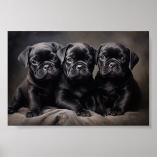 Poster Três cachorros pretos