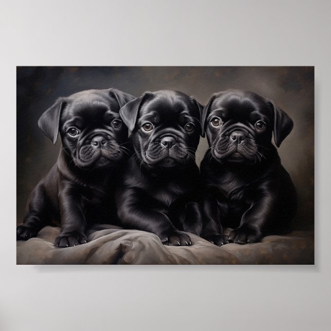 Poster Três cachorros pretos (Frente)