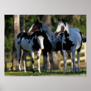 Poster Três Cavalos De Tinta Juntos