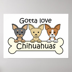 Pôster Três Chihuahuas