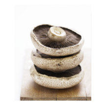 Três cogumelos planos em pilha em conselho de made