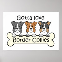 Três Collies de Borda