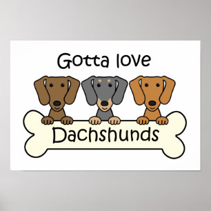 Poster Três Dachshances