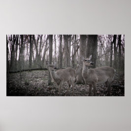 Poster Três faz na Fazenda