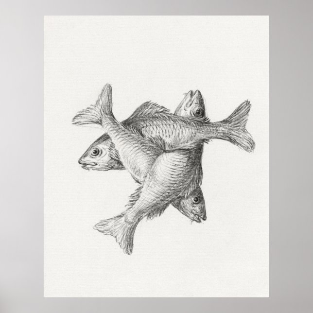 Poster Três Fishes (Frente)