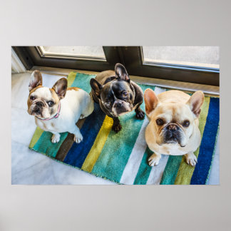 Poster Três franceses